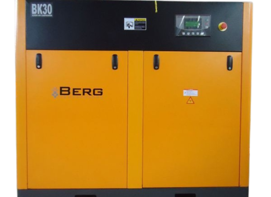 Компрессор для покрасочной линии BERG GmbH 55